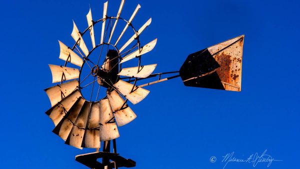 Introducing The AgriVenturist Our goal is to introduce you to the families who toil day in and day out to provide a safe, sustainable source of food and fiber for the consumer.  